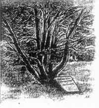 Isak Emanuel Europaeuksen perhehauta