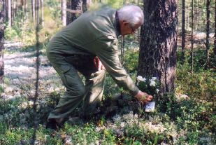 Osmo Rasilo Pentti Hirvensalon
kaatumapaikalla