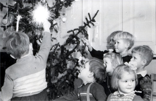 Serkukset joukukuusen ymp�rill�